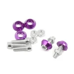 M6 Purple Metal Cone Head License Plate Frame Nuts Screws 5PCS For Motorbike. Fixed Price $14.49.